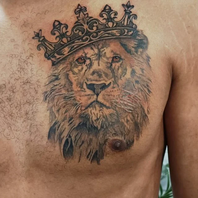 Tatouage réaliste d'un lion couronné sur le torse, réalisé par Jo Brass Tatoo à La Flèche